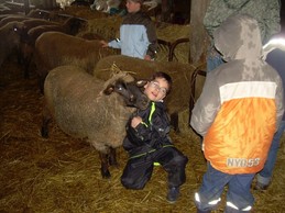 Kinder im Schafstall